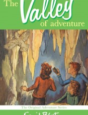 布莱顿少年冒险团3:失落山谷的秘密